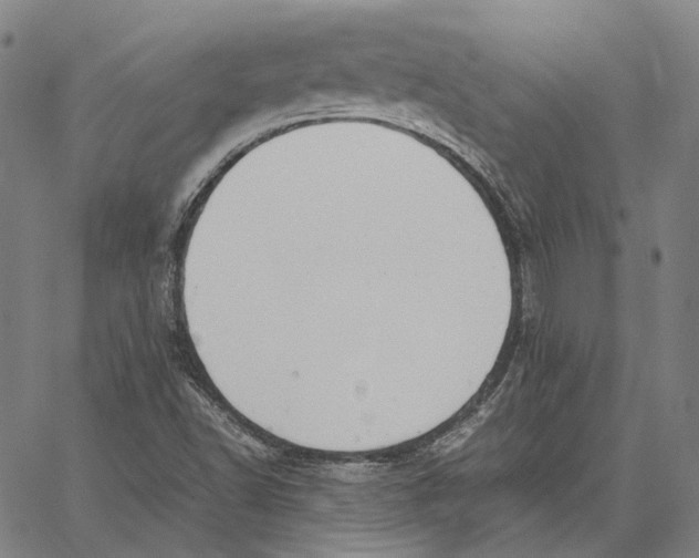 X0000062601502200601181551