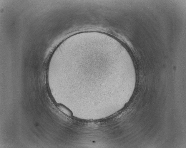 X0000062601504200601181551