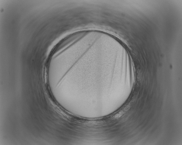 X0000062601510200601181551