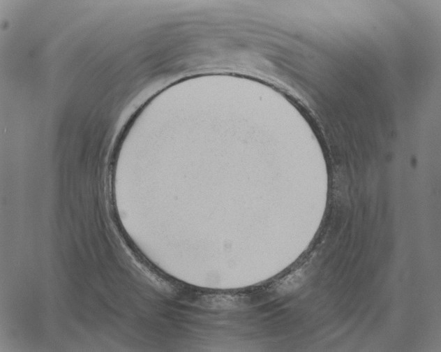 X0000062601517200601181551