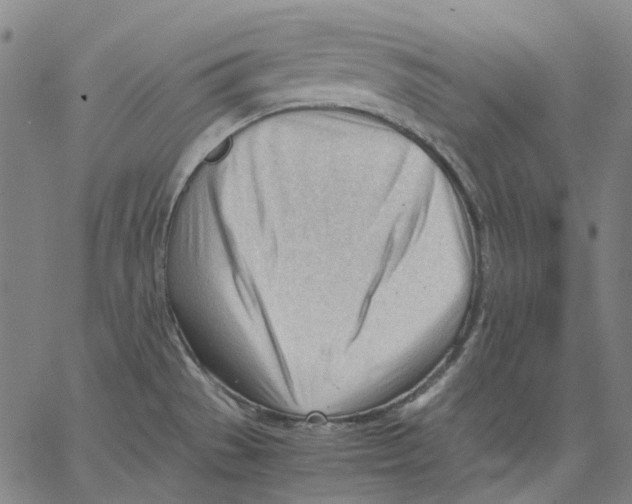 X0000062601529200601181552