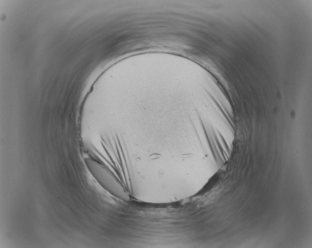 X0000062601532200601181552