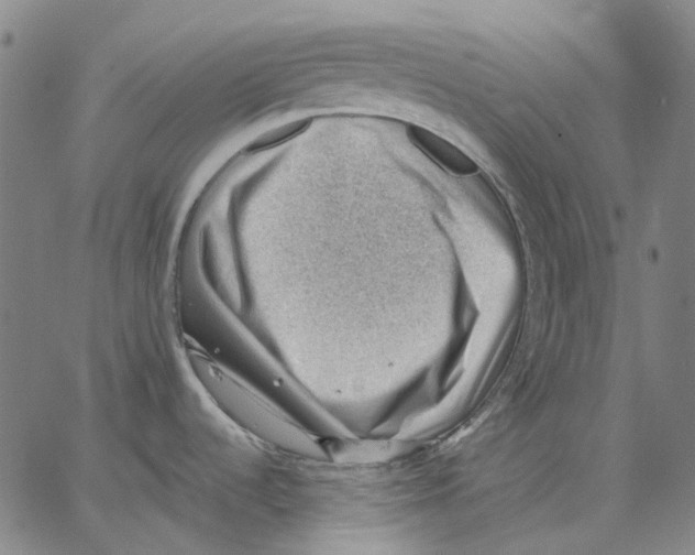 X0000062601536200601181552
