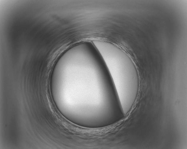 X0000062610001200512210950