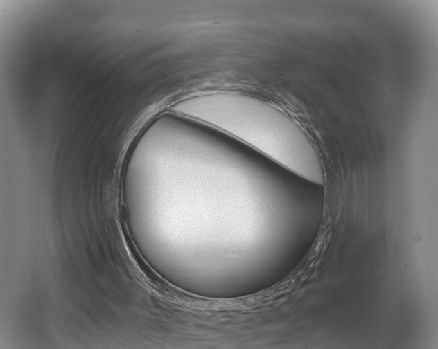 X0000062610003200512210950
