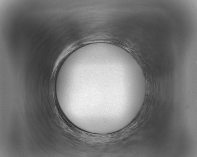 X0000062610004200512210950