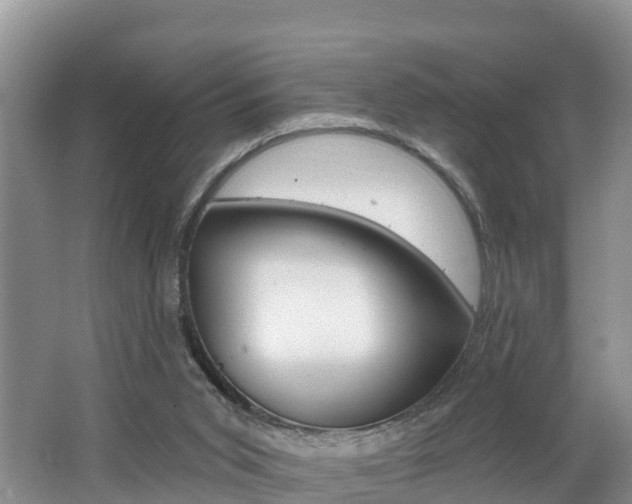 X0000062610015200512210949