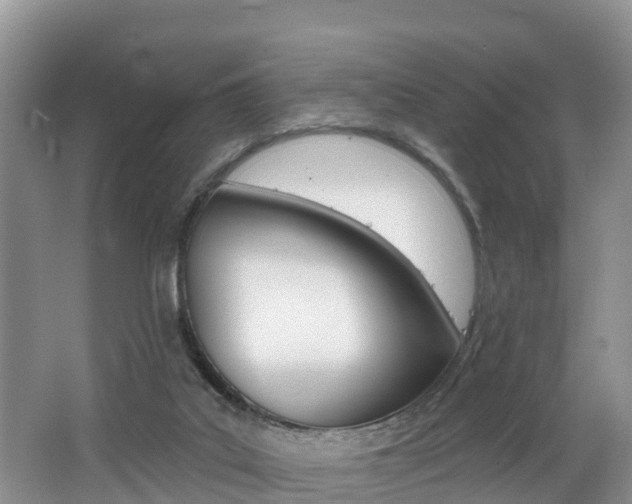 X0000062610019200512210949