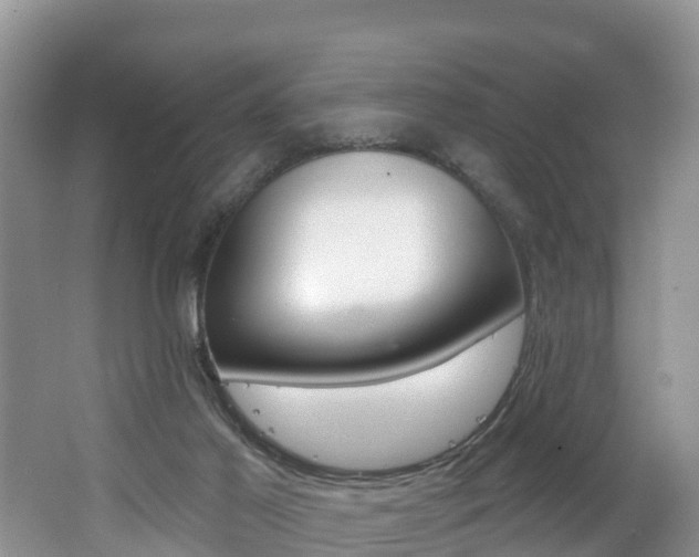 X0000062610021200512210949