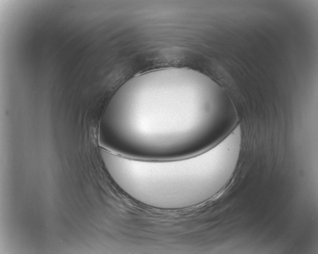 X0000062610045200512210949
