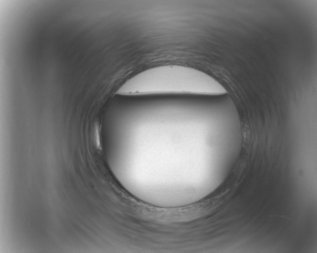 X0000062610046200512210949