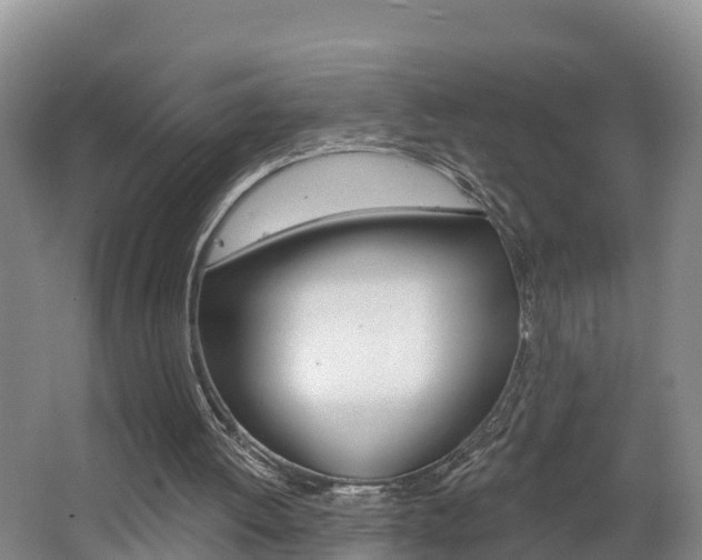 X0000062610052200512210948