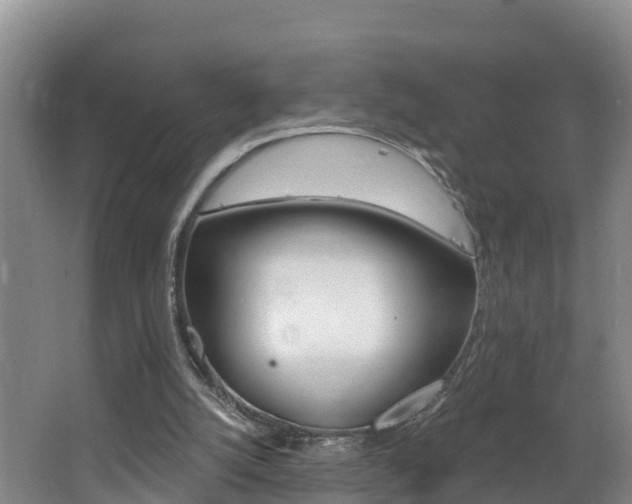 X0000062610056200512210948