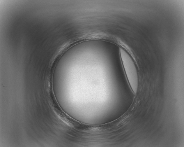 X0000062610059200512210948