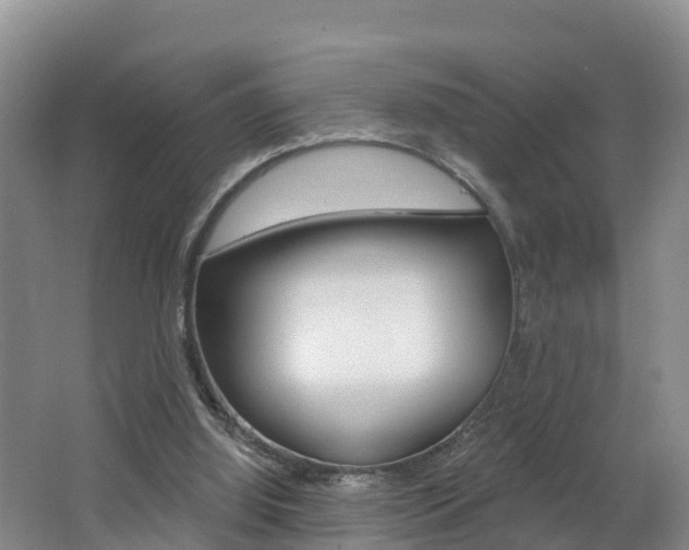 X0000062610060200512210948