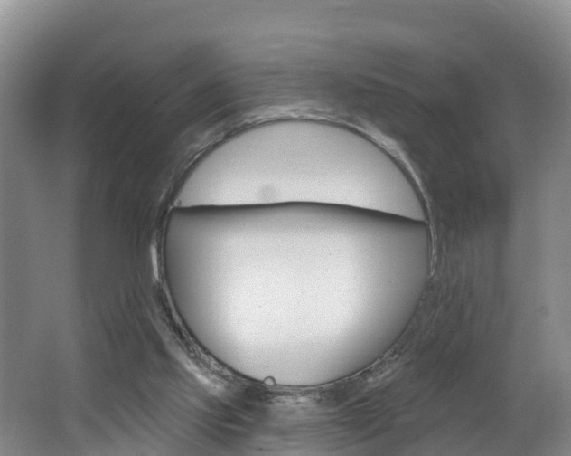 X0000062610061200512210948