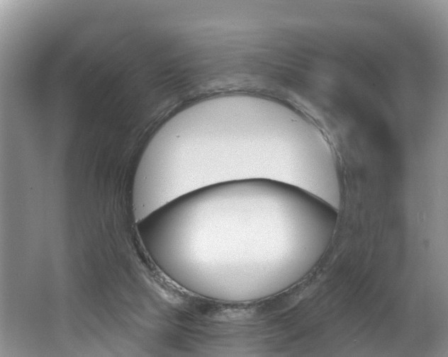 X0000062610065200512210948