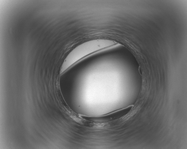 X0000062610096200512210949