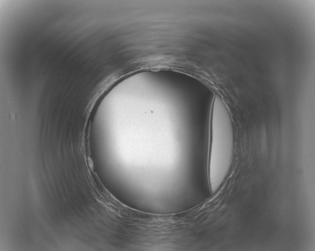 X0000062610099200512210948