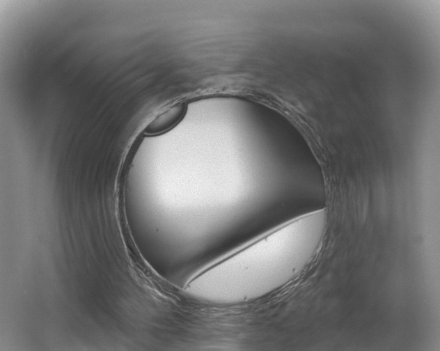 X0000062610100200512210948