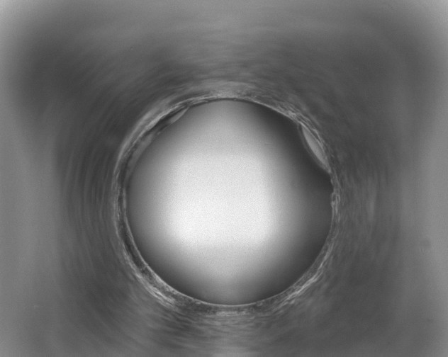 X0000062610101200512210948