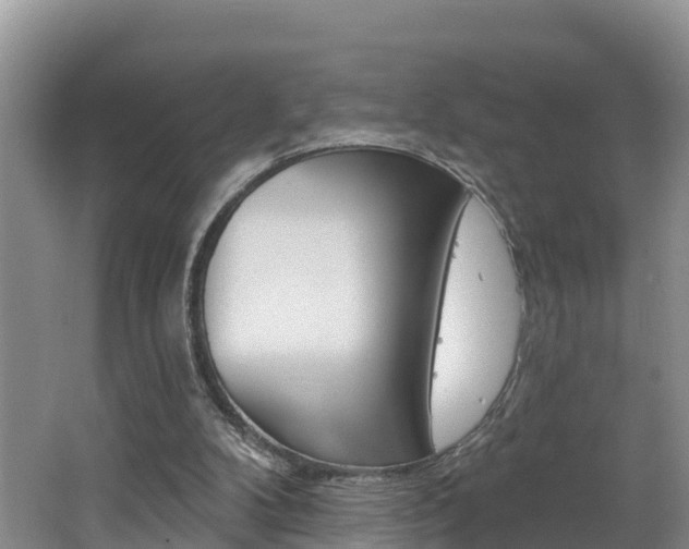 X0000062610104200512210948