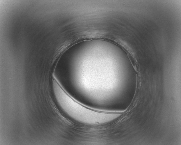 X0000062610105200512210948
