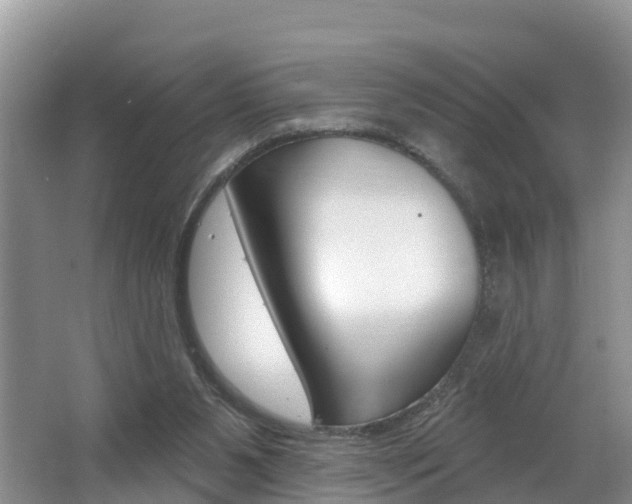 X0000062610111200512210948