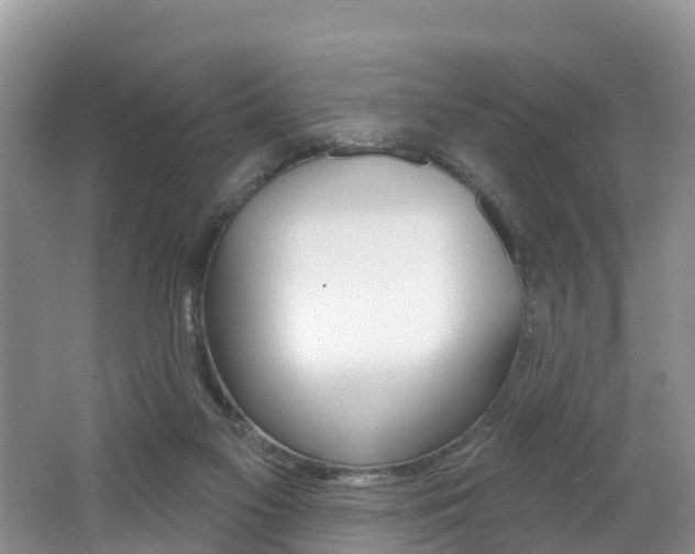 X0000062610117200512210948