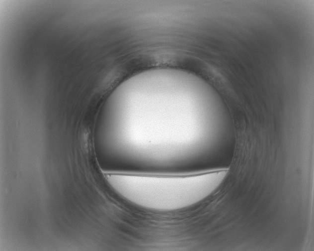 X0000062610123200512210948
