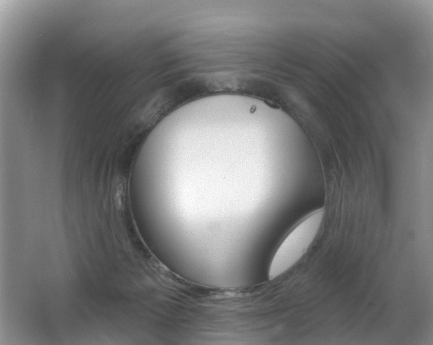 X0000062610125200512210947