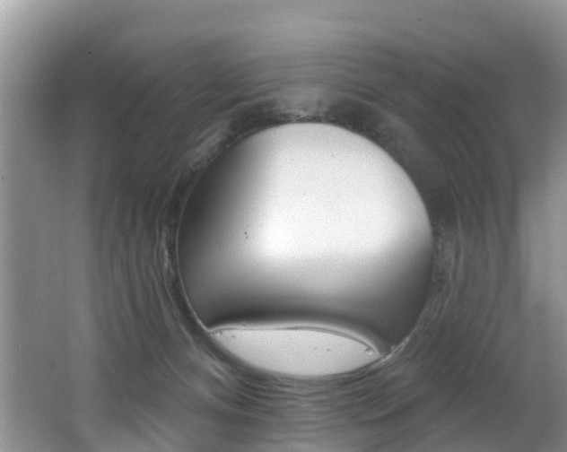 X0000062610128200512210947