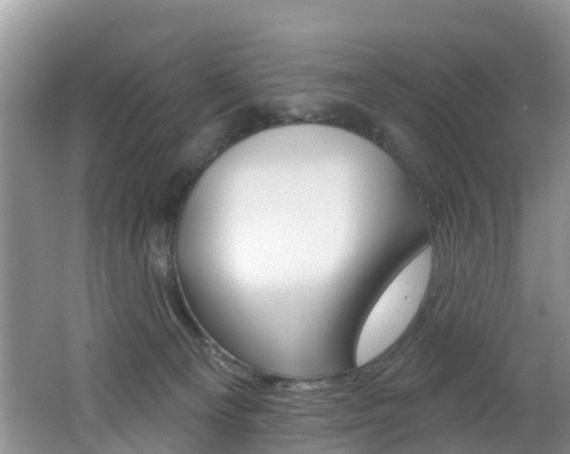 X0000062610129200512210947