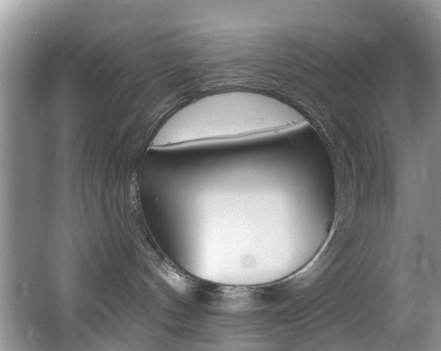 X0000062610144200512210947