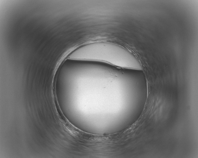 X0000062610147200512210946