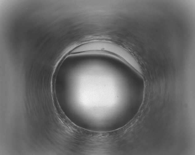 X0000062610148200512210946