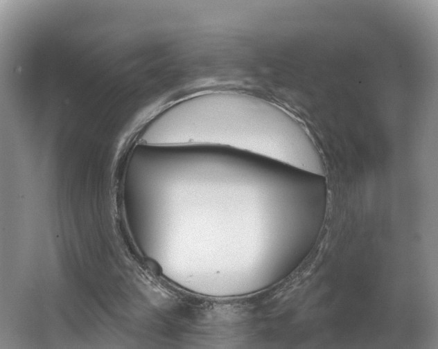 X0000062610149200512210946