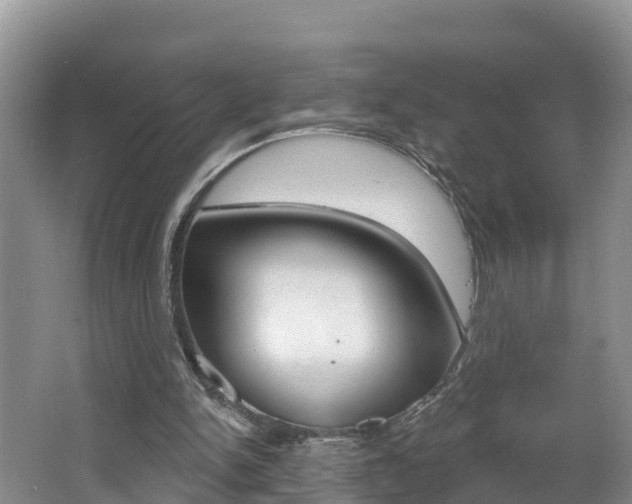 X0000062610150200512210946