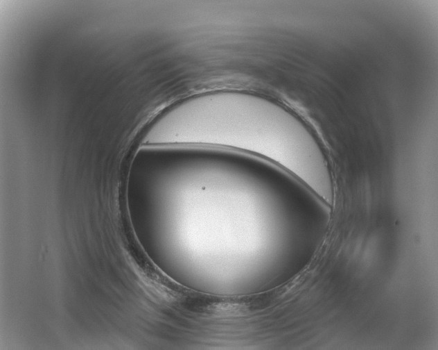 X0000062610154200512210946