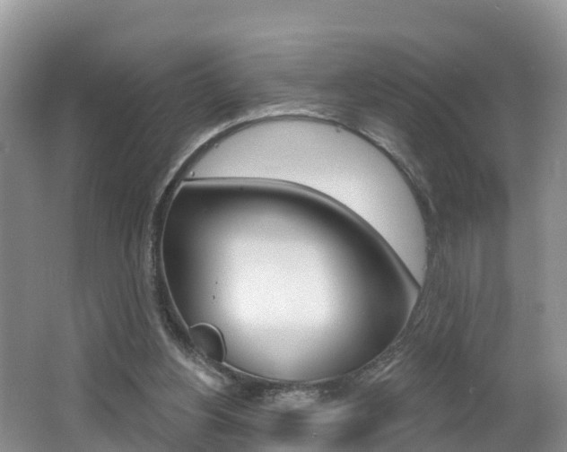 X0000062610156200512210946