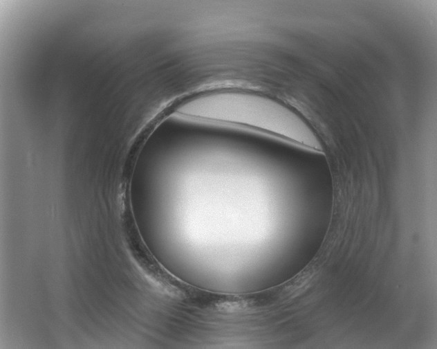 X0000062610160200512210947