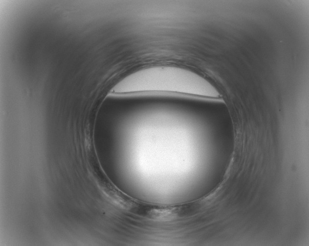 X0000062610170200512210947