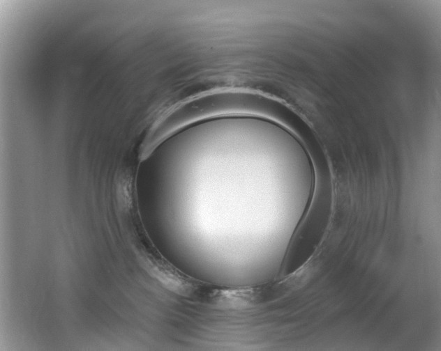 X0000062610188200512210947