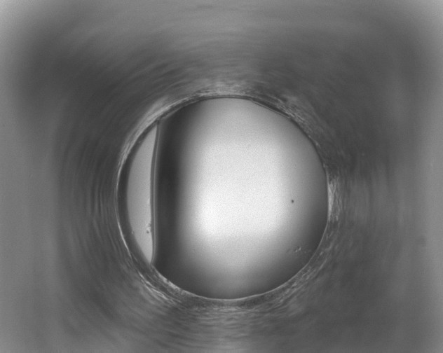 X0000062610195200512210946