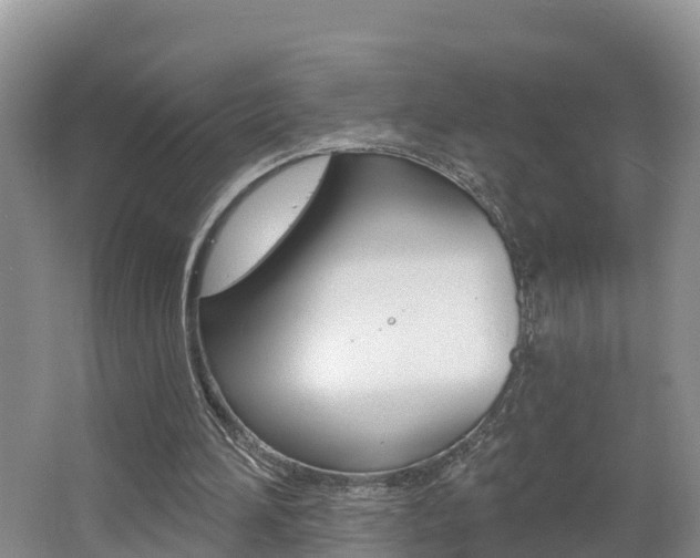X0000062610196200512210946