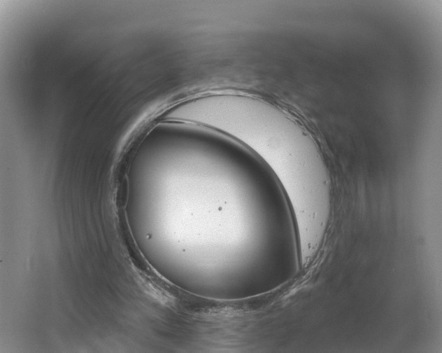 X0000062610197200512210946