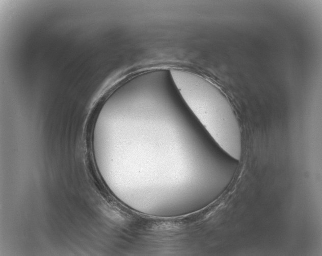X0000062610198200512210946