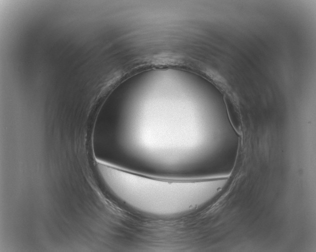 X0000062610201200512210946