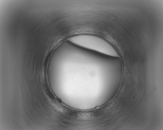 X0000062610202200512210946