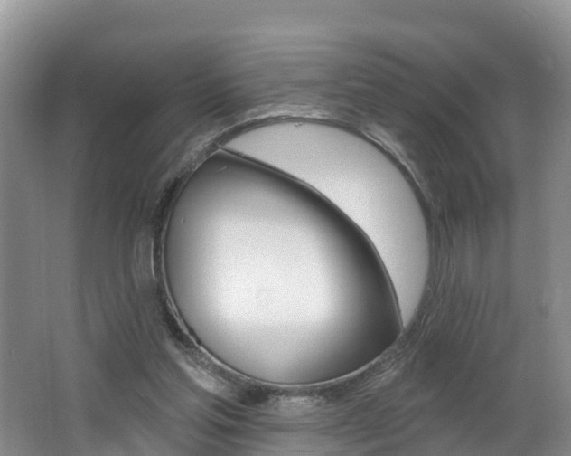 X0000062610205200512210946